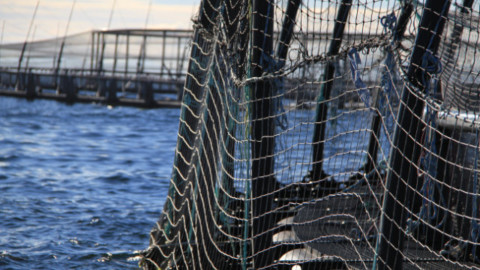 Industry Environmental Regulation and Monitoring